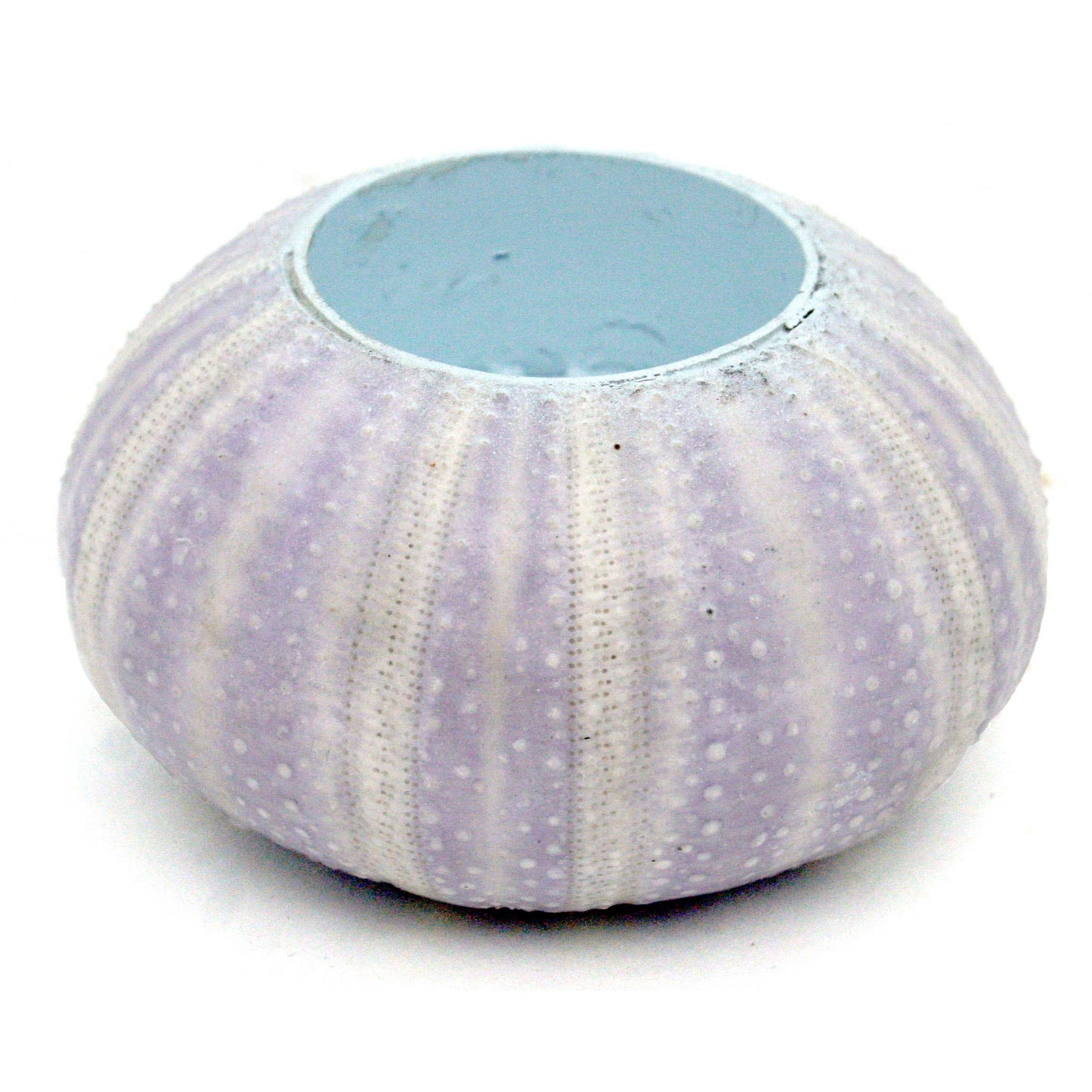 Sea Urchin Tealight Candle Holder