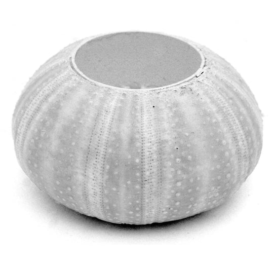 Sea Urchin Tealight Candle Holder