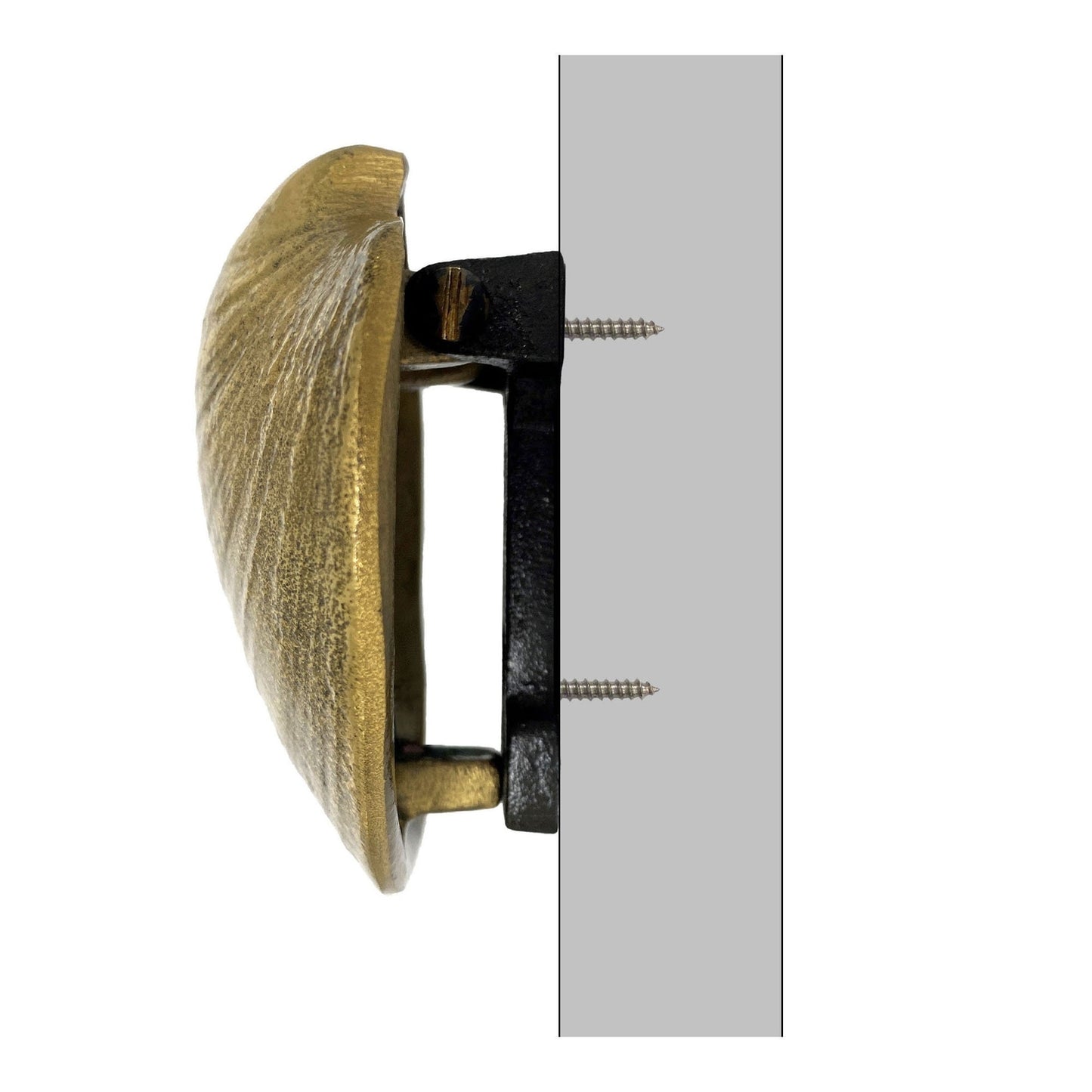 Quahog Door Knocker