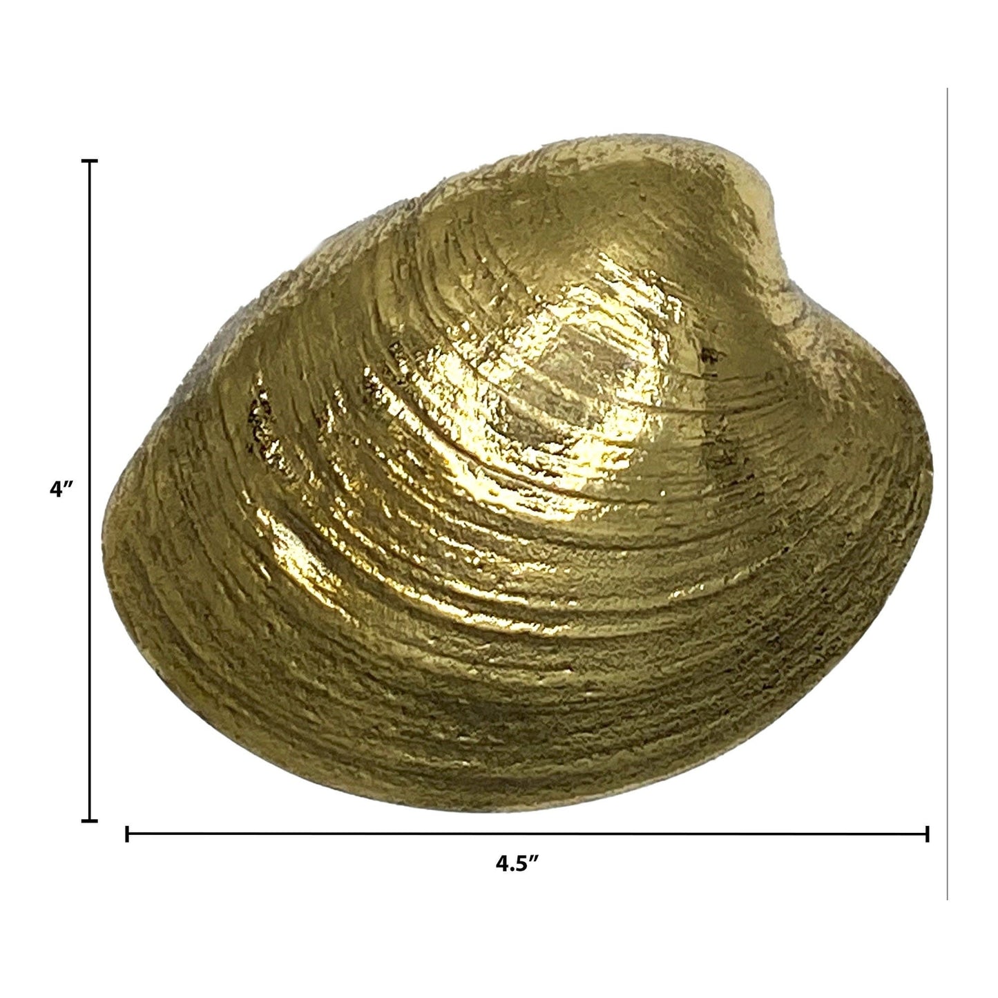Quahog Door Knocker