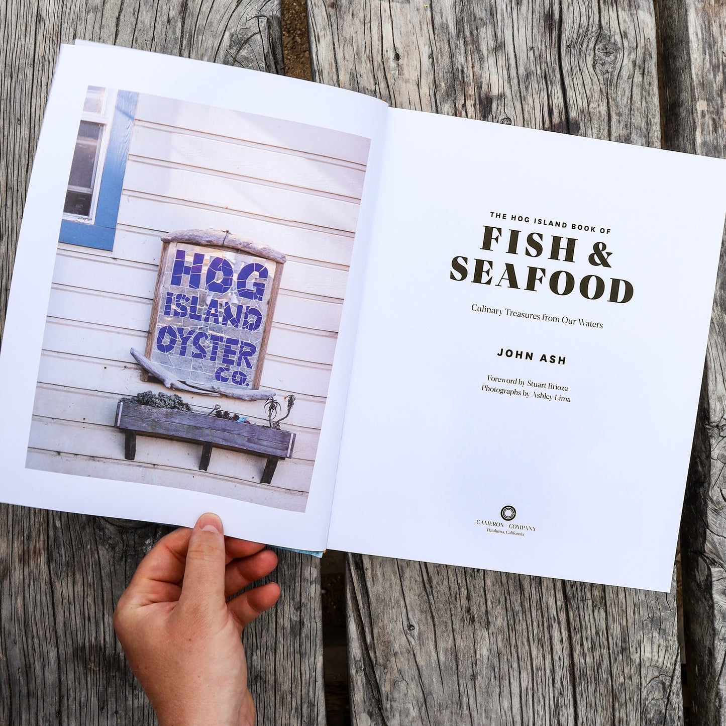 The Hog Island Book of Fish & Seafood