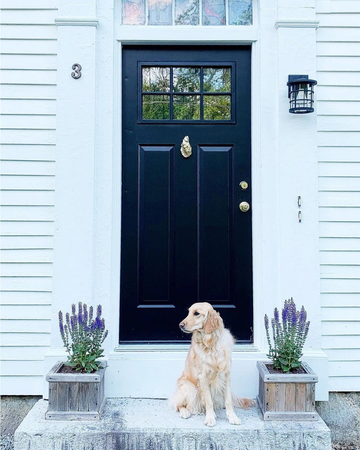 Oyster Door Knocker