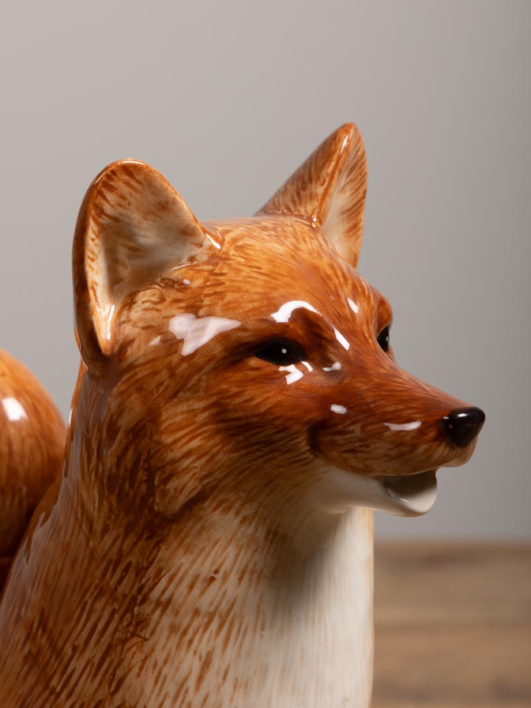 Fox Pitcher